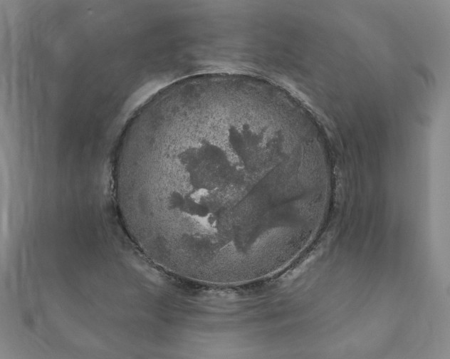 X0000110881215200906181218
