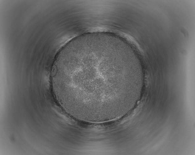 X0000110881217200906181218
