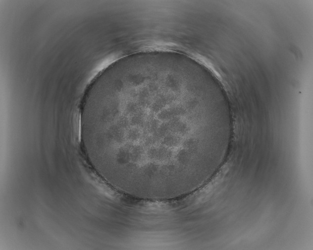 X0000110881219200906181218