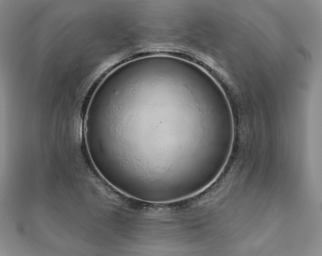 X0000110881221200906181218