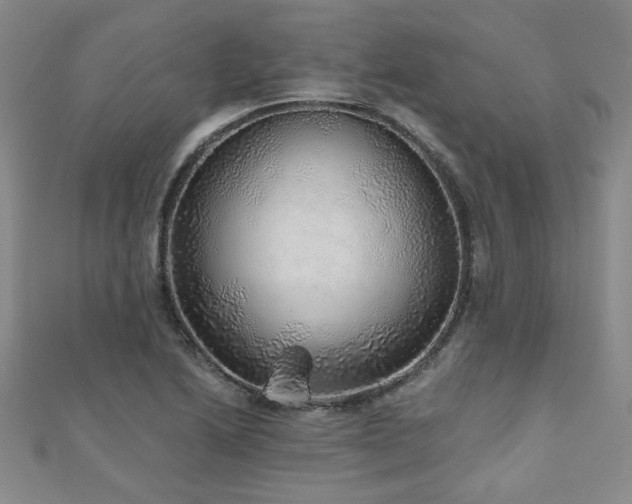 X0000110881222200906181218