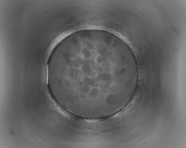 X0000110881223200906181218
