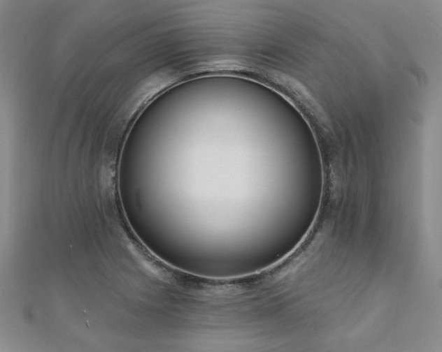 X0000110881225200906181218