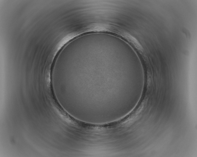 X0000110881226200906181218