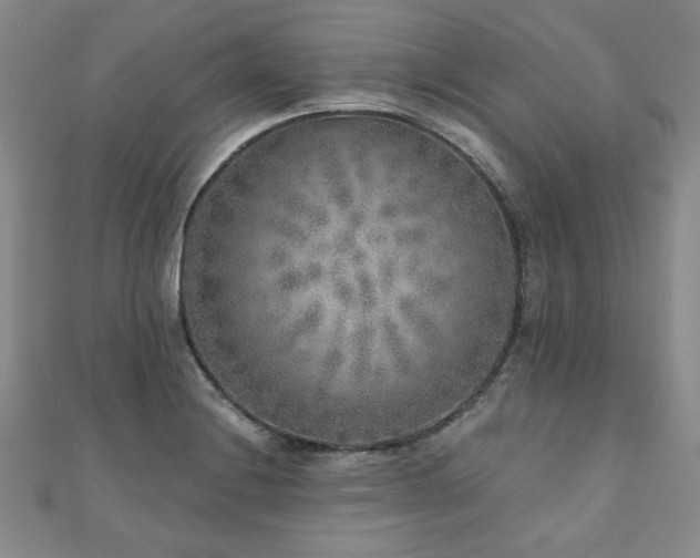 X0000110881228200906181218