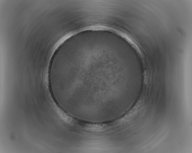 X0000110881229200906181218