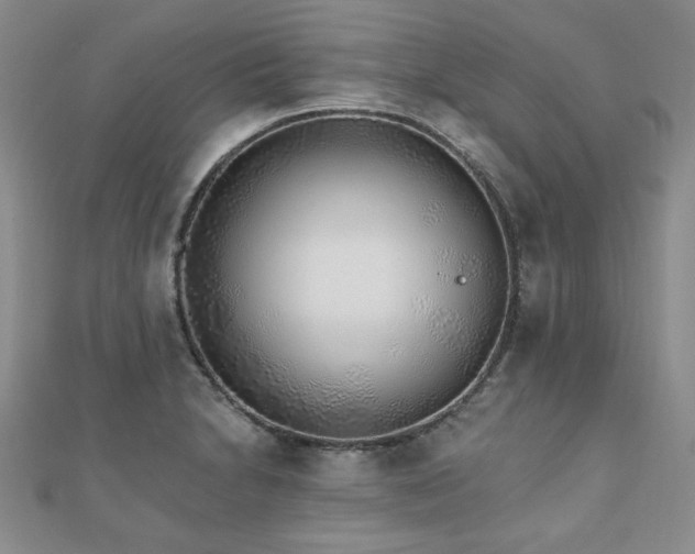 X0000110881230200906181218