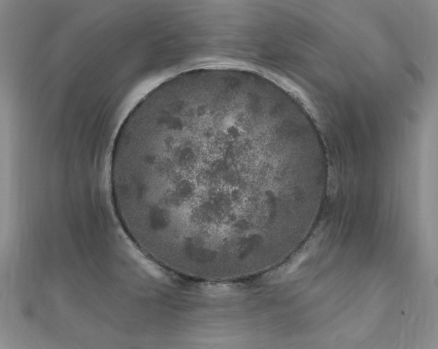 X0000110881231200906181218