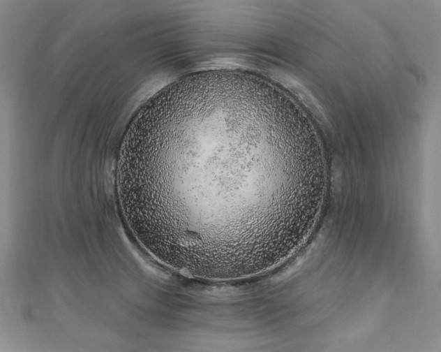 X0000110881233200906181218