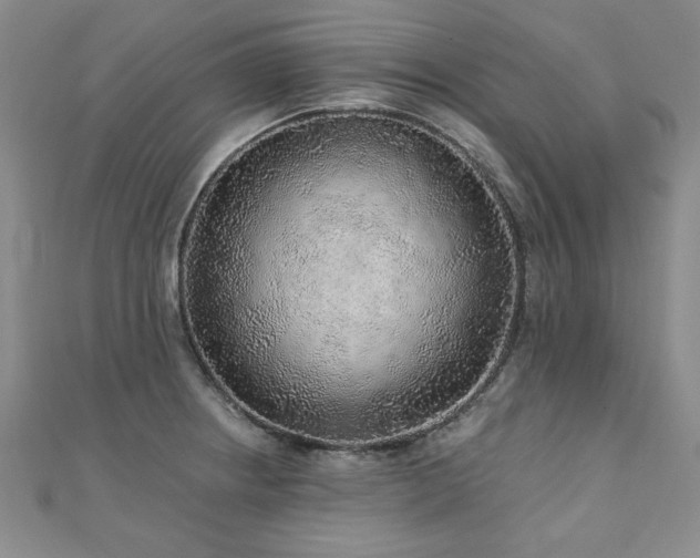 X0000110881234200906181218