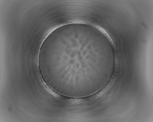 X0000110881236200906181218
