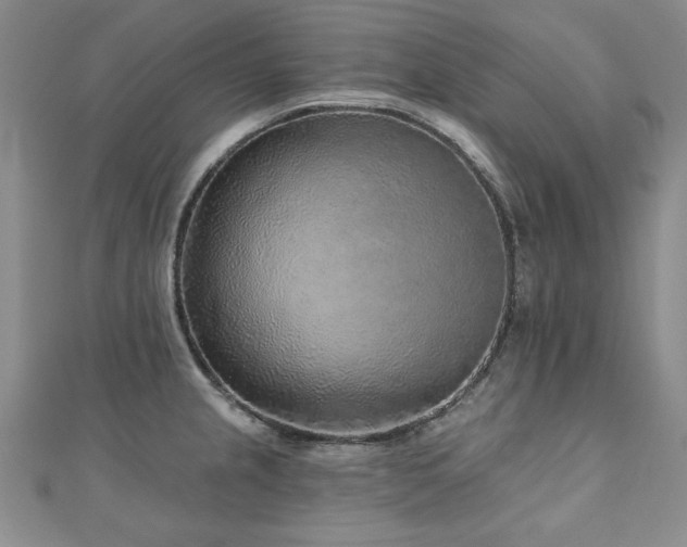 X0000110881237200906181218