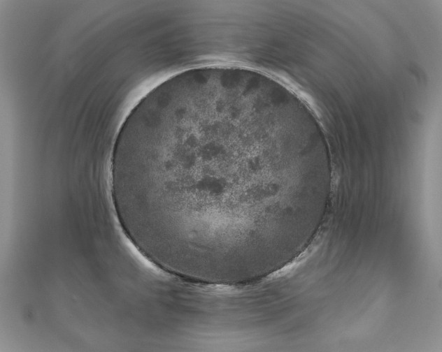 X0000110881239200906181218