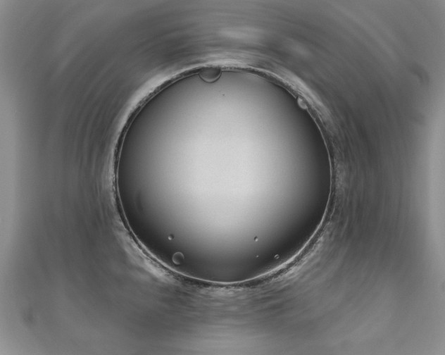 X0000110881240200906181218