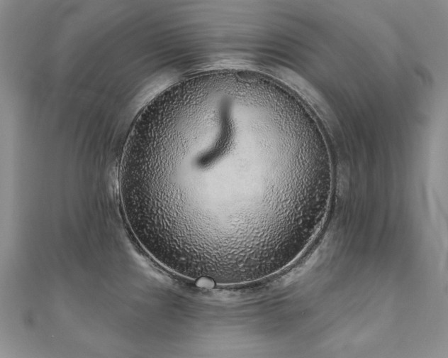 X0000110881241200906181218