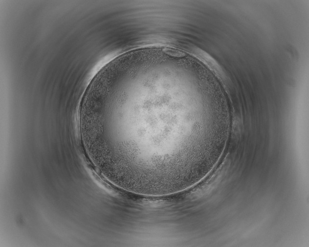 X0000110881242200906181218