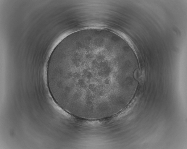 X0000110881243200906181218