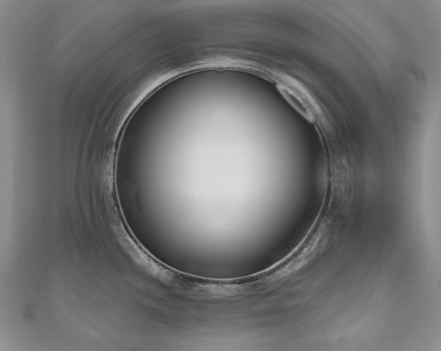 X0000110881244200906181218