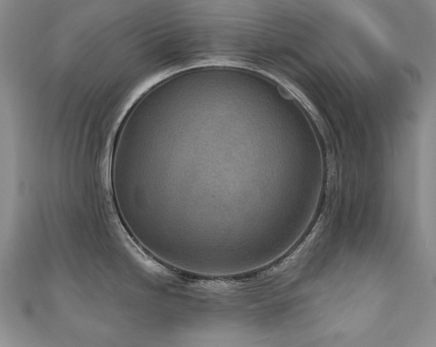 X0000110881246200906181218