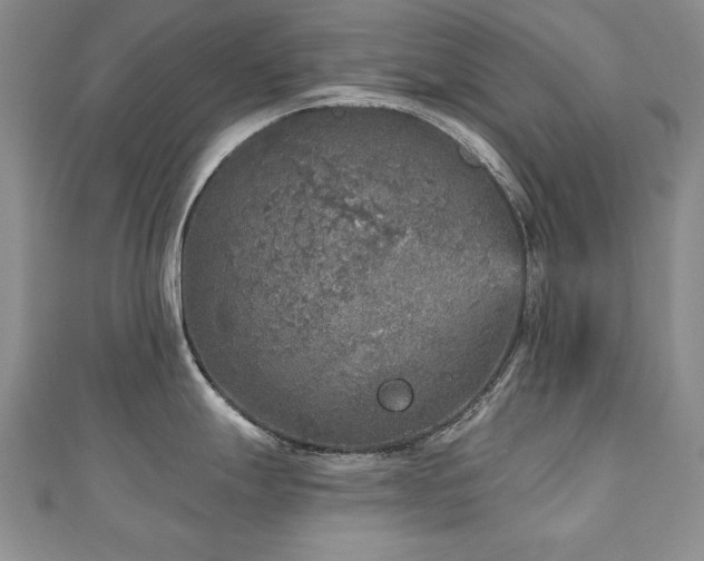 X0000110881247200906181218