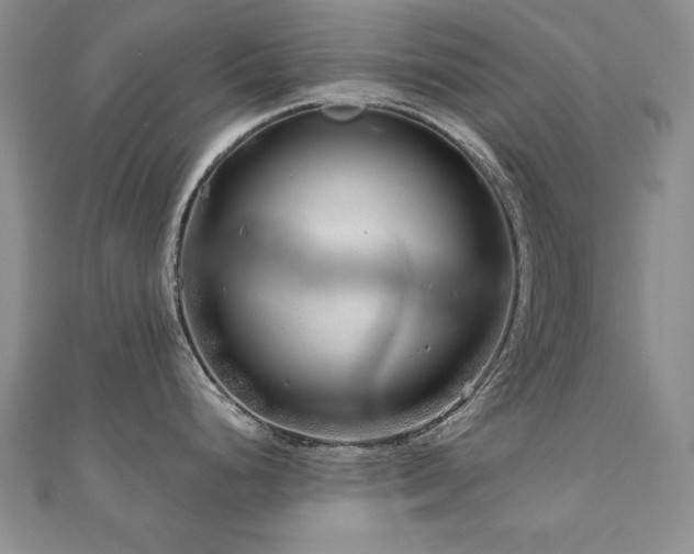 X0000110881248200906181218