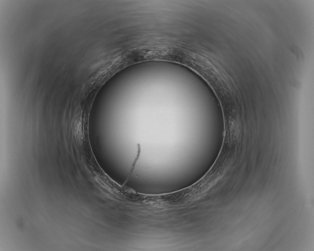 X0000110881250200906181218