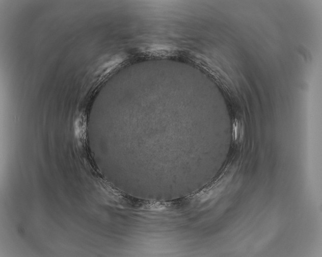 X0000110881251200906181218