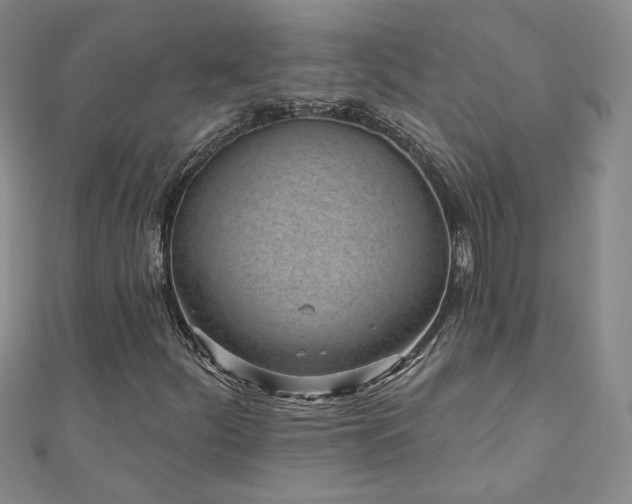 X0000110881252200906181218