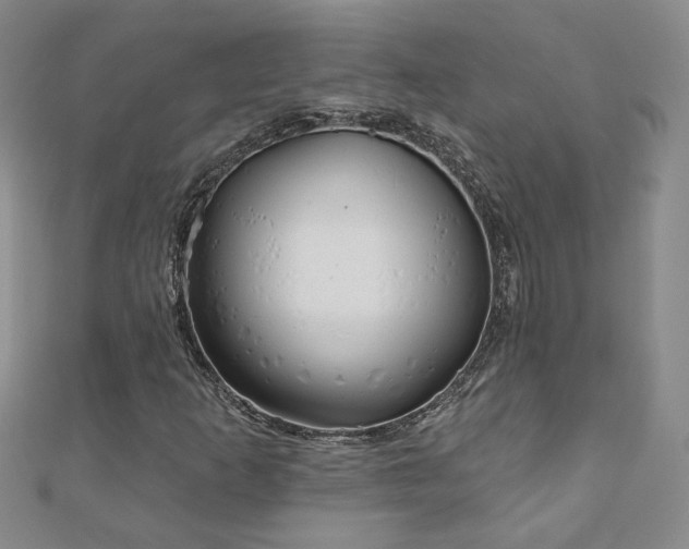 X0000110881253200906181218