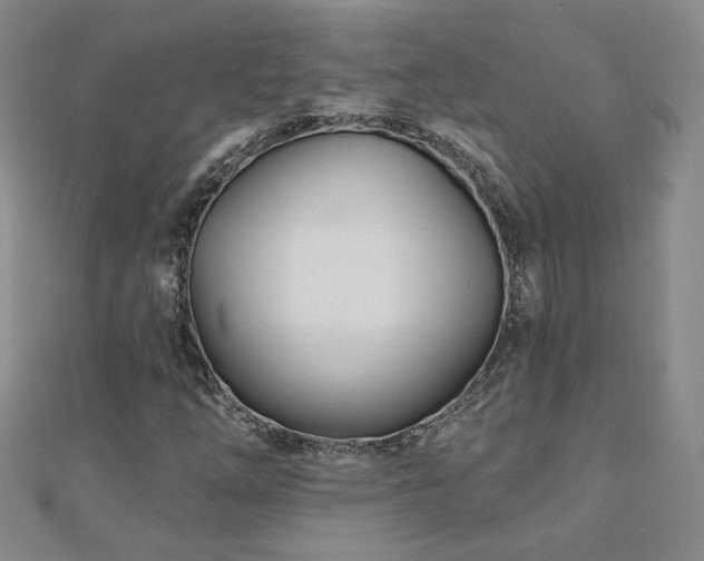X0000110881254200906181218