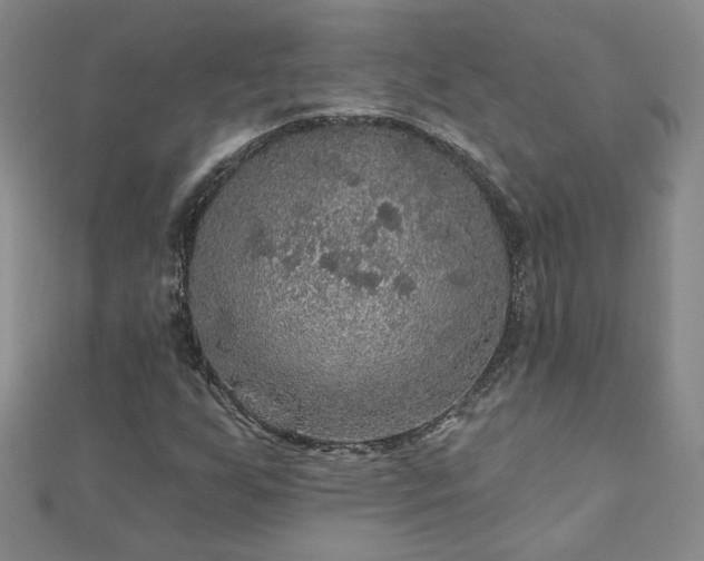 X0000110881255200906181218