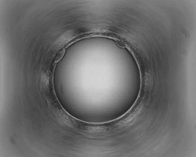 X0000110881257200906181218