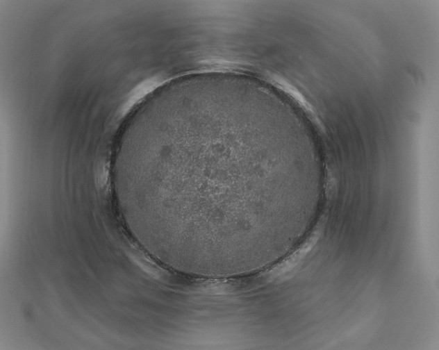 X0000110881259200906181218