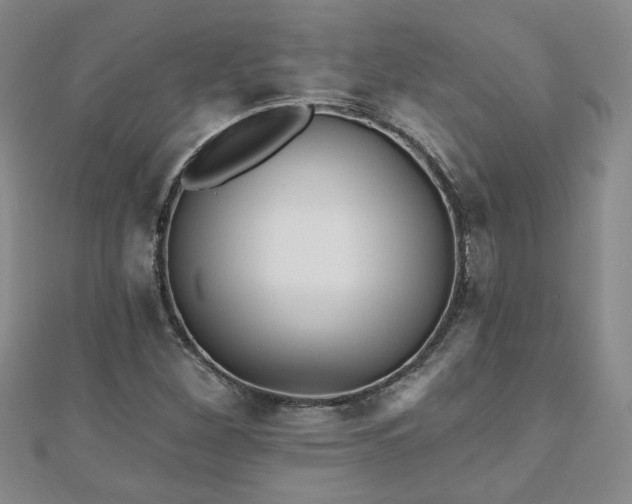 X0000110881260200906181218
