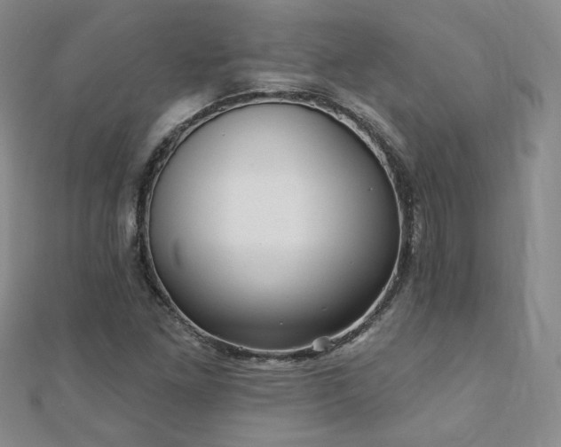 X0000110881261200906181218