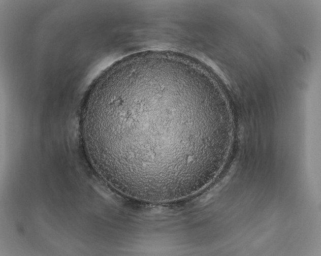 X0000110881263200906181218