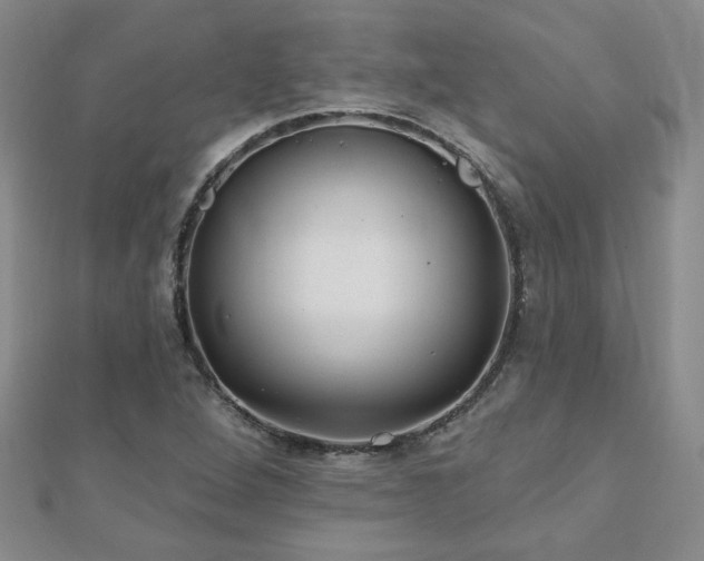 X0000110881264200906181218