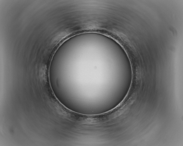 X0000110881265200906181218