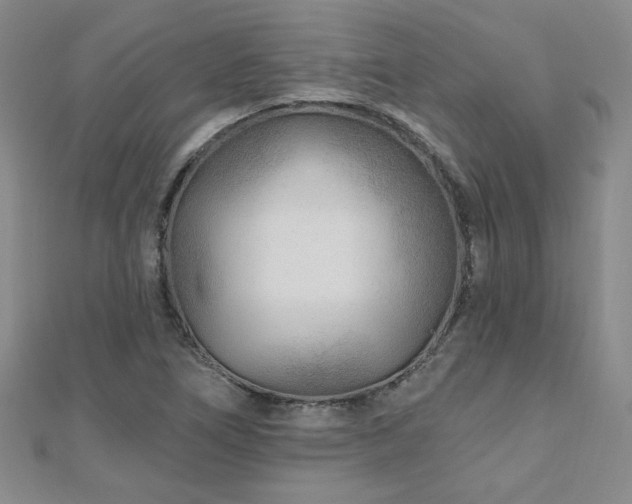 X0000110881266200906181218