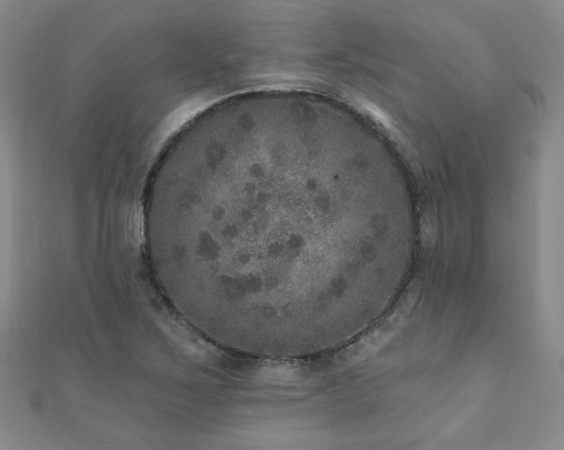 X0000110881267200906181218