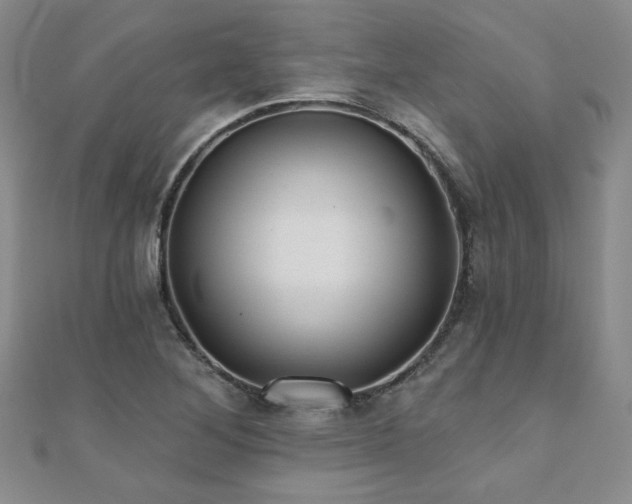 X0000110881268200906181218