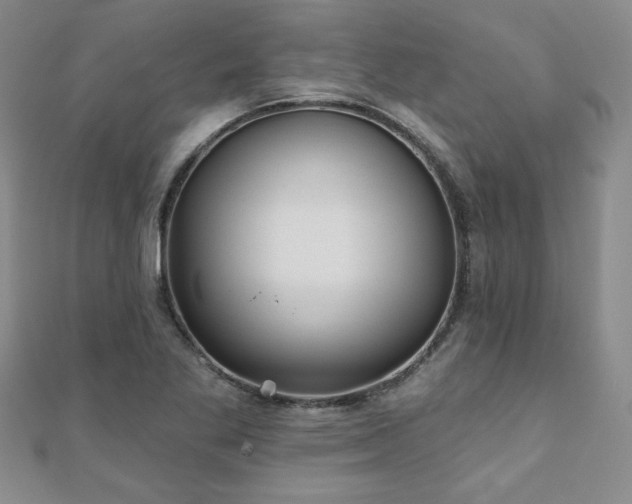 X0000110881269200906181218