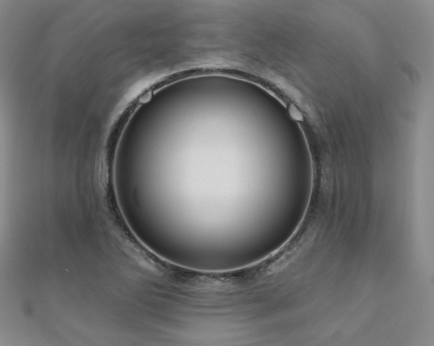 X0000110881270200906181218