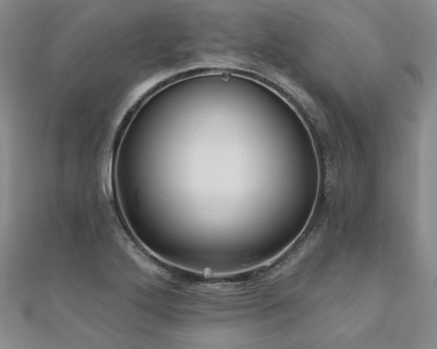 X0000110881272200906181218