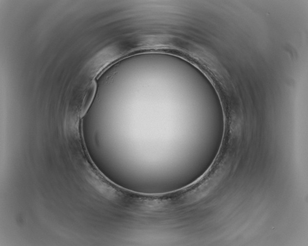 X0000110881273200906181218