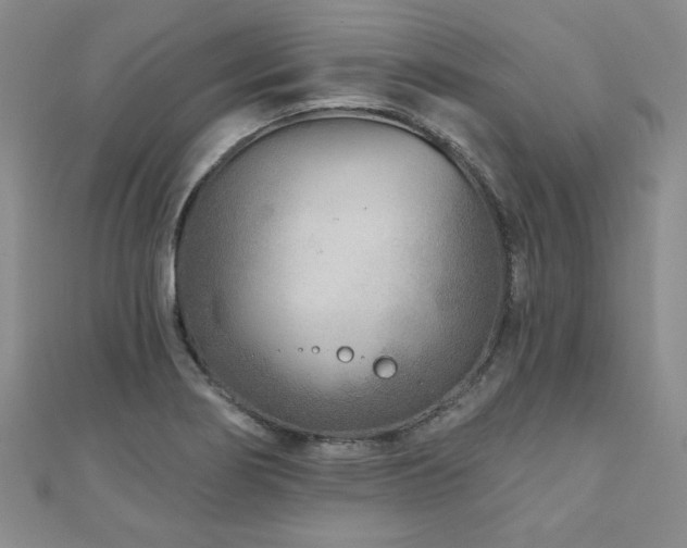X0000110881274200906181218