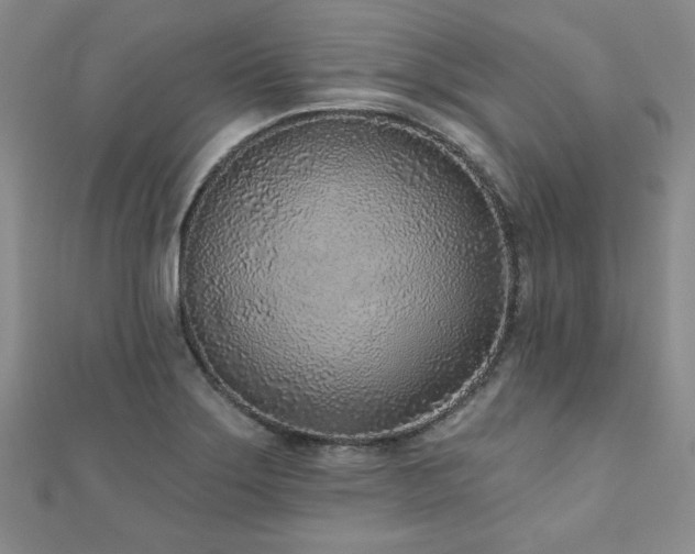 X0000110881275200906181218