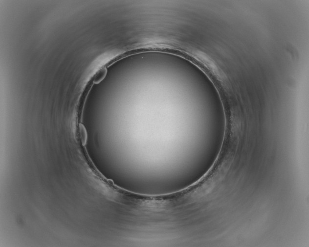 X0000110881277200906181218