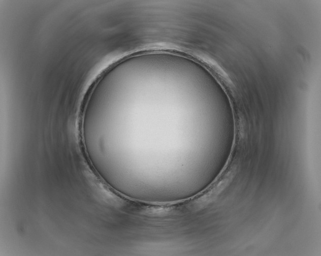 X0000110881278200906181217