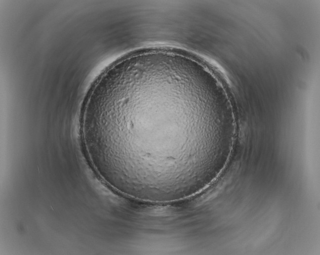 X0000110881279200906181217